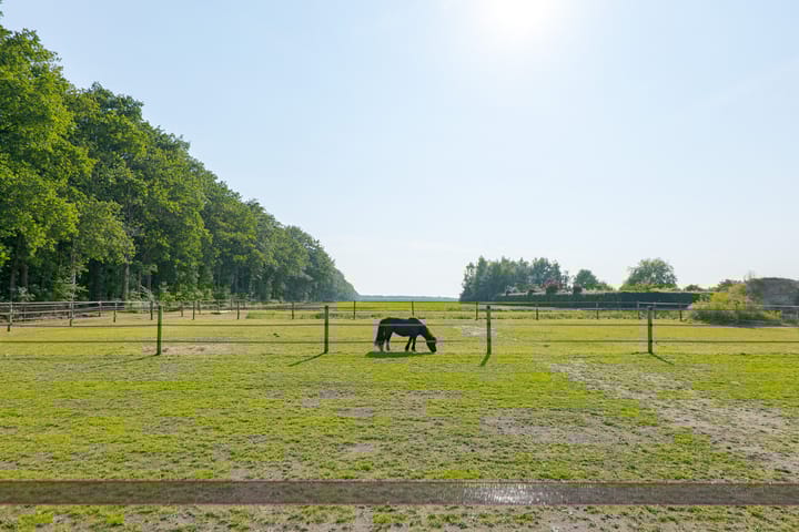 Foto 88 van Borgerderweg 21