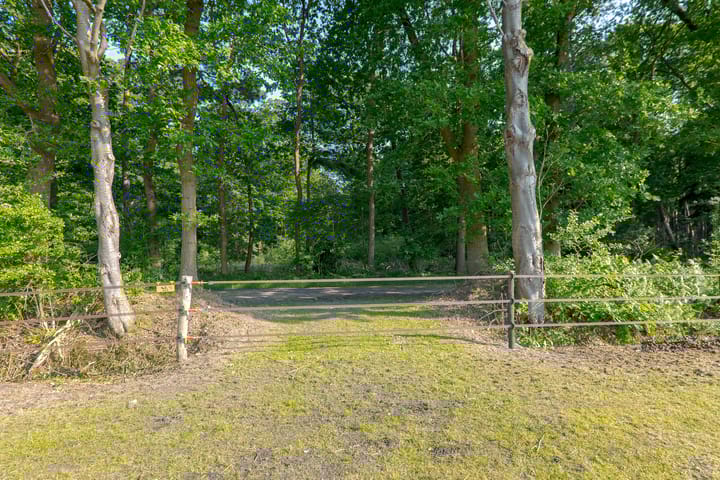 Foto 89 van Borgerderweg 21