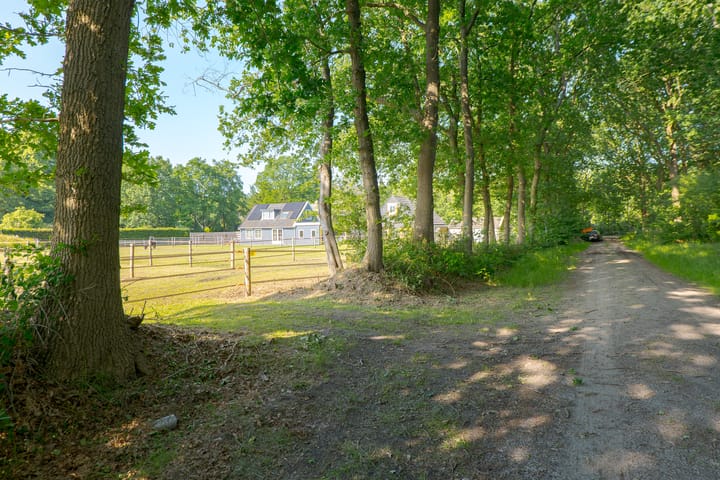 Foto 91 van Borgerderweg 21