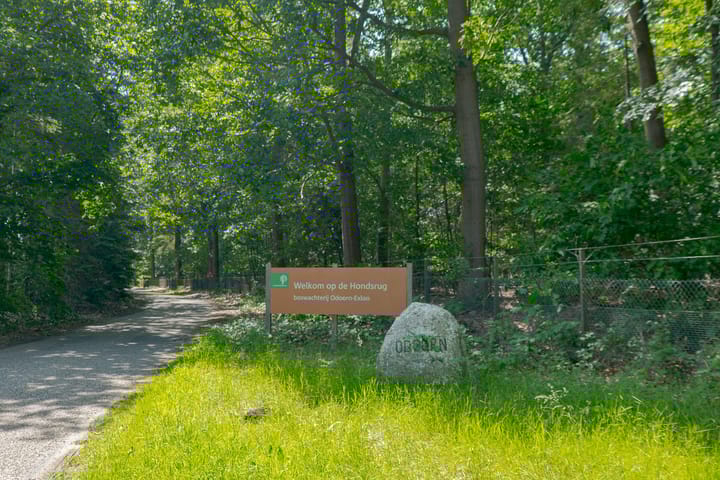 Foto 3 van Borgerderweg 21