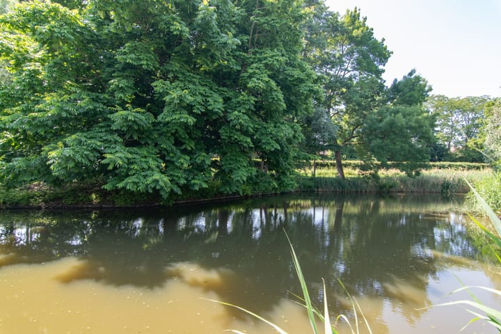 Foto 39 van Pauwenveld 13