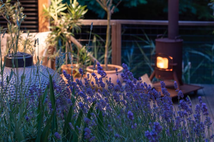 Foto 42 van Pauwenveld 13