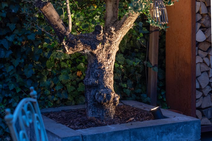 Foto 46 van Pauwenveld 13