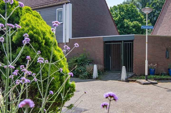 Foto 49 van Pauwenveld 13