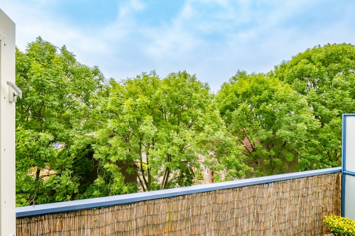 Photo 11 of New Yorkdreef 55