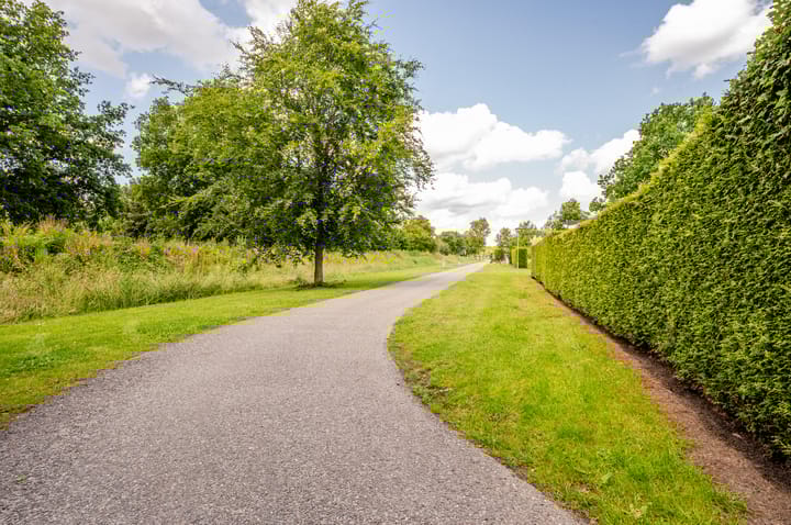 Foto 36 van Spijkweg 15-540