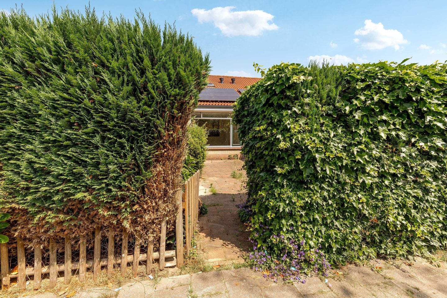 Foto 29 van Bernagiestraat 9