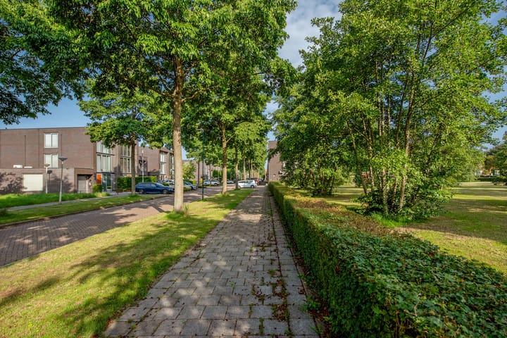 Foto 44 van Ruseschans 10