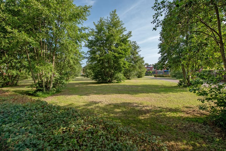 Foto 45 van Ruseschans 10