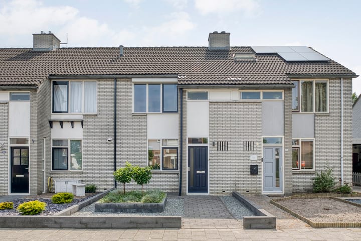 Reiger 97