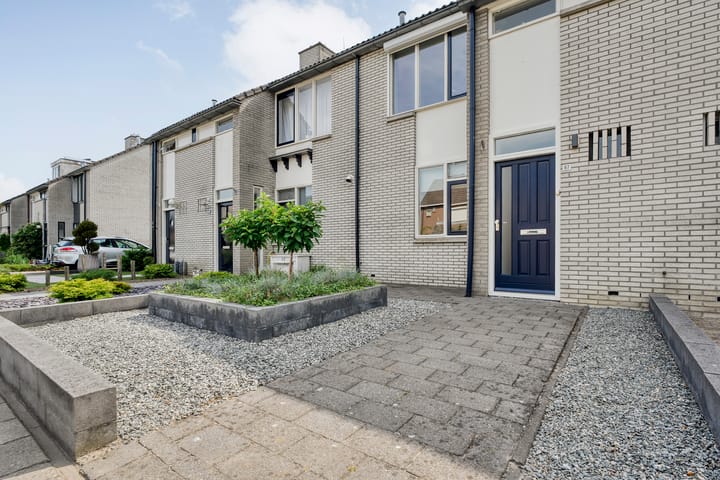 Foto 3 van Reiger 97