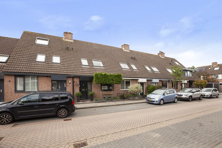 Photo 36 of Ganzerik 9