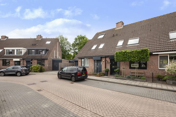 Photo 37 of Ganzerik 9