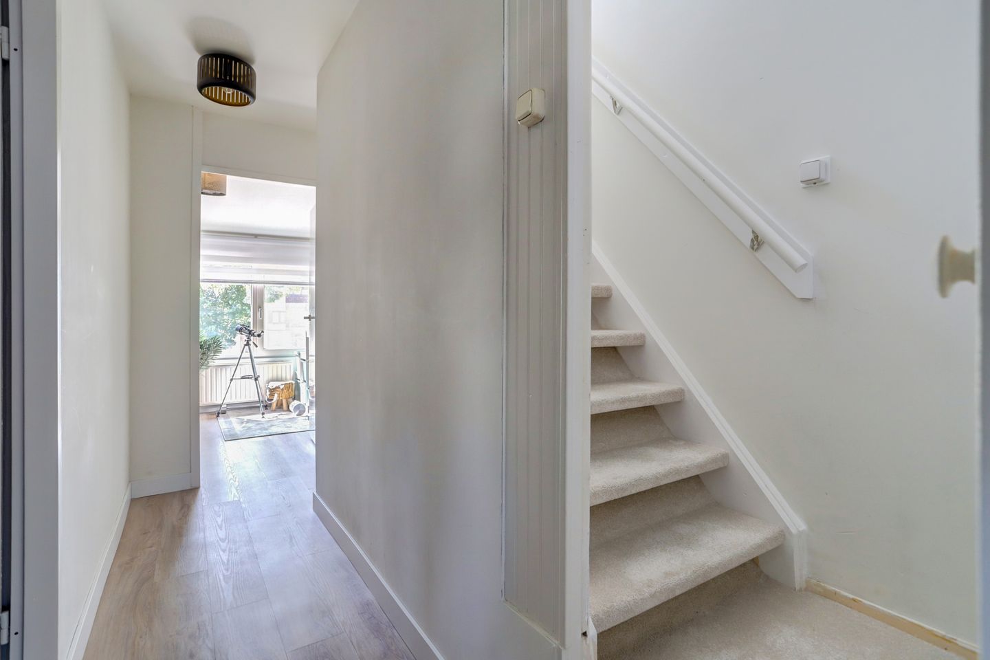 Foto 25 van Eerste Haren 40