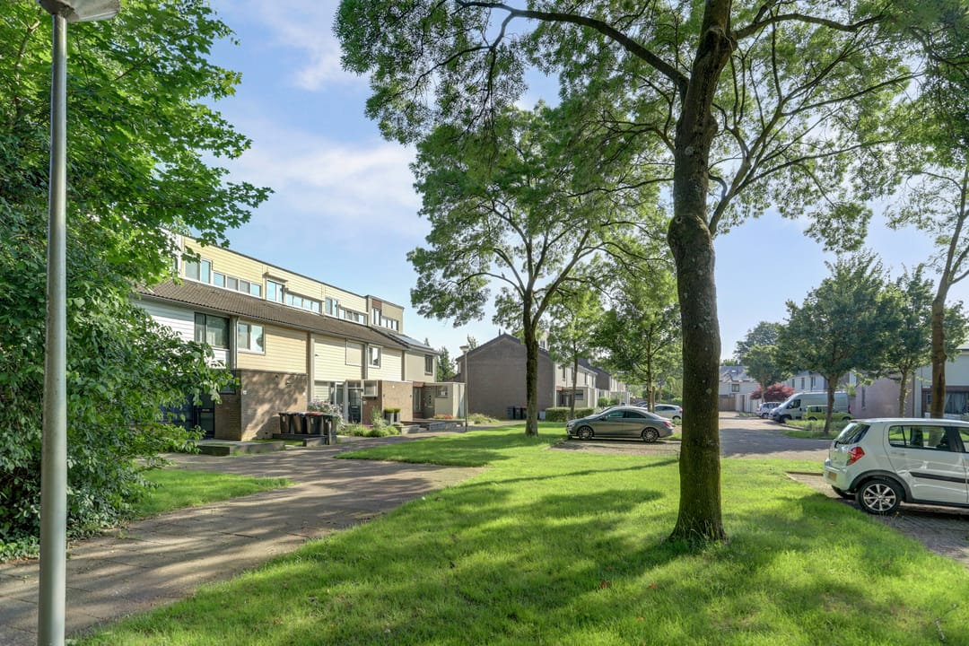 Foto 37 van Eerste Haren 40