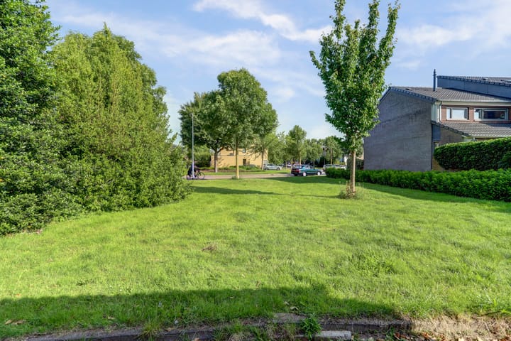 Foto 38 van Eerste Haren 40