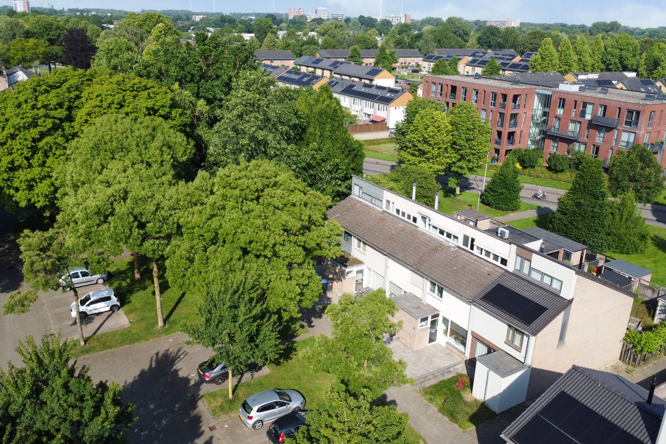 Foto 39 van Eerste Haren 40