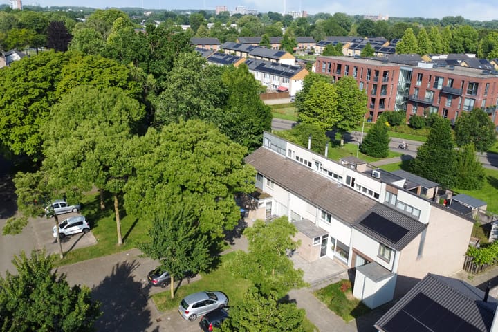 Foto 39 van Eerste Haren 40