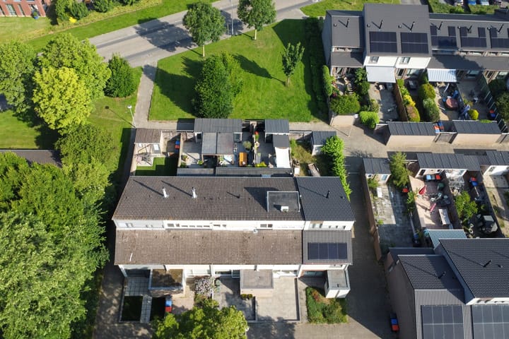 Foto 40 van Eerste Haren 40