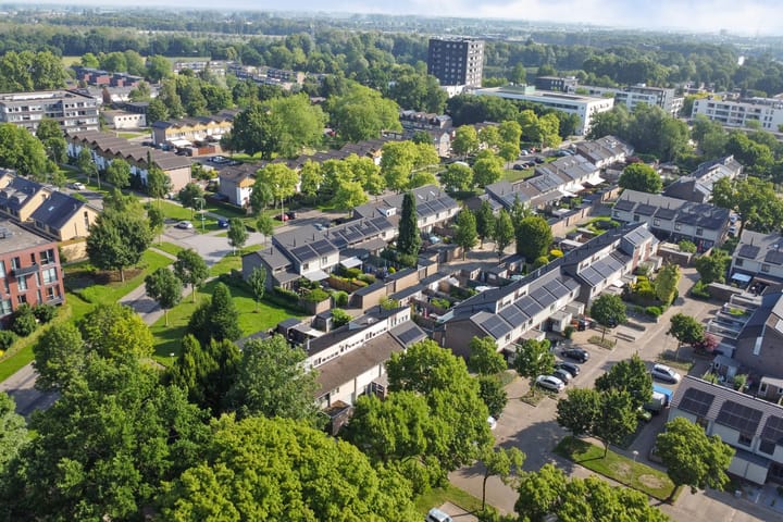 Foto 41 van Eerste Haren 40