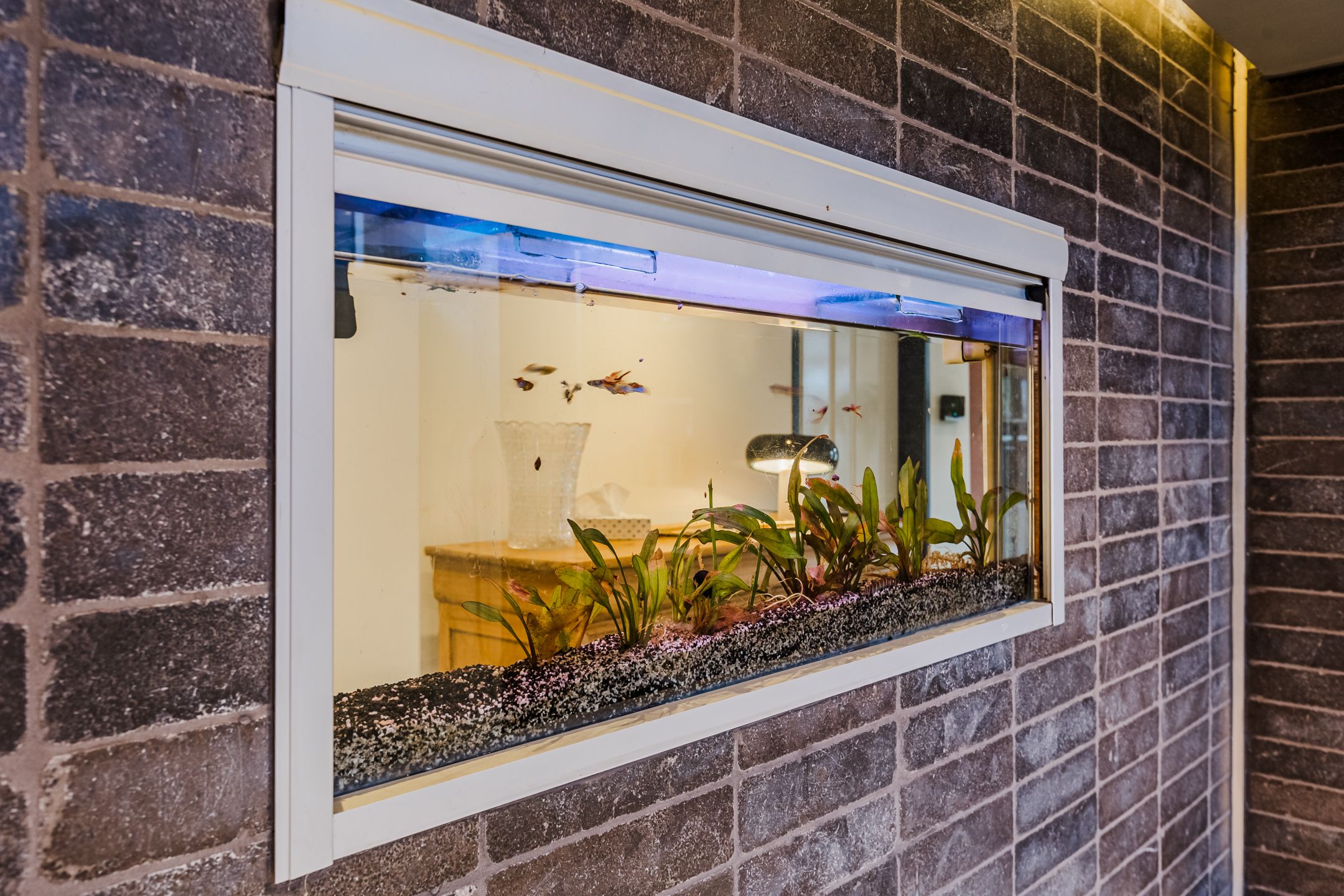 Foto 33 van Rijpersweg 7