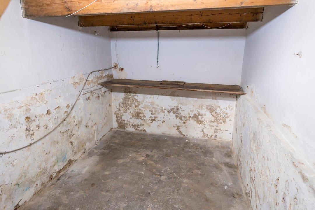 Foto 11 van Groenloseweg 11