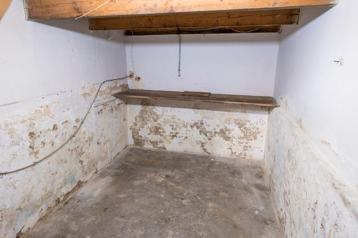 Foto 11 van Groenloseweg 11