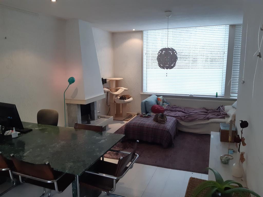 Photo 5 of van Alphenstraat 5