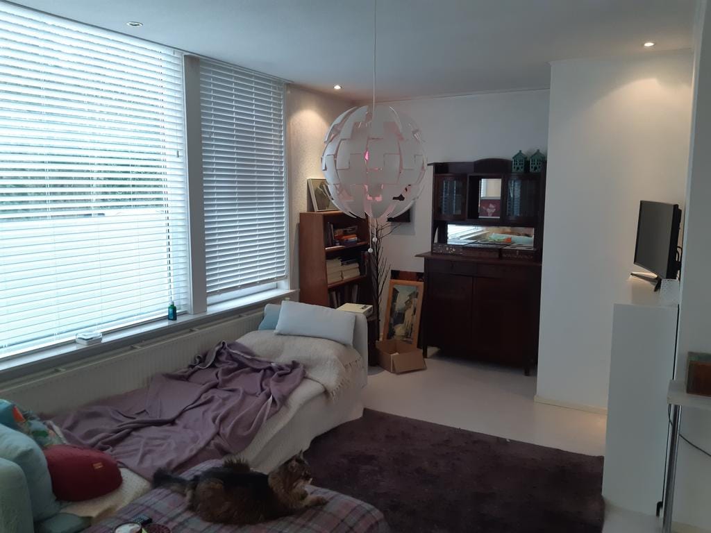 Photo 10 of van Alphenstraat 5