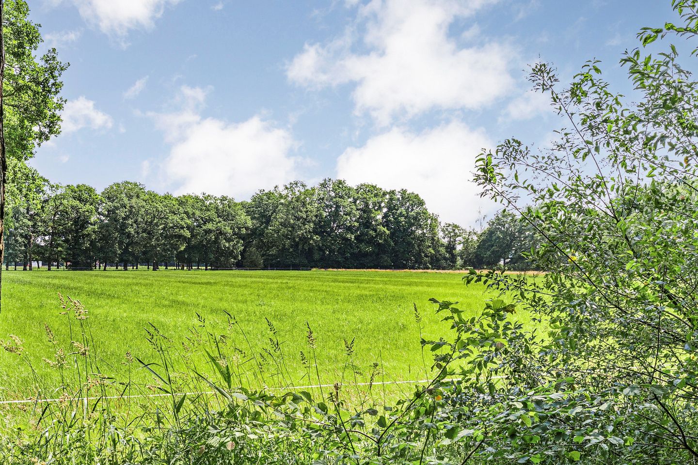 Foto 49 van Rosengaardeweg 38