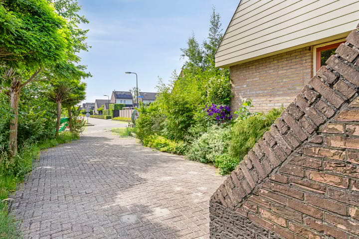 Foto 2 van Molefinne 51