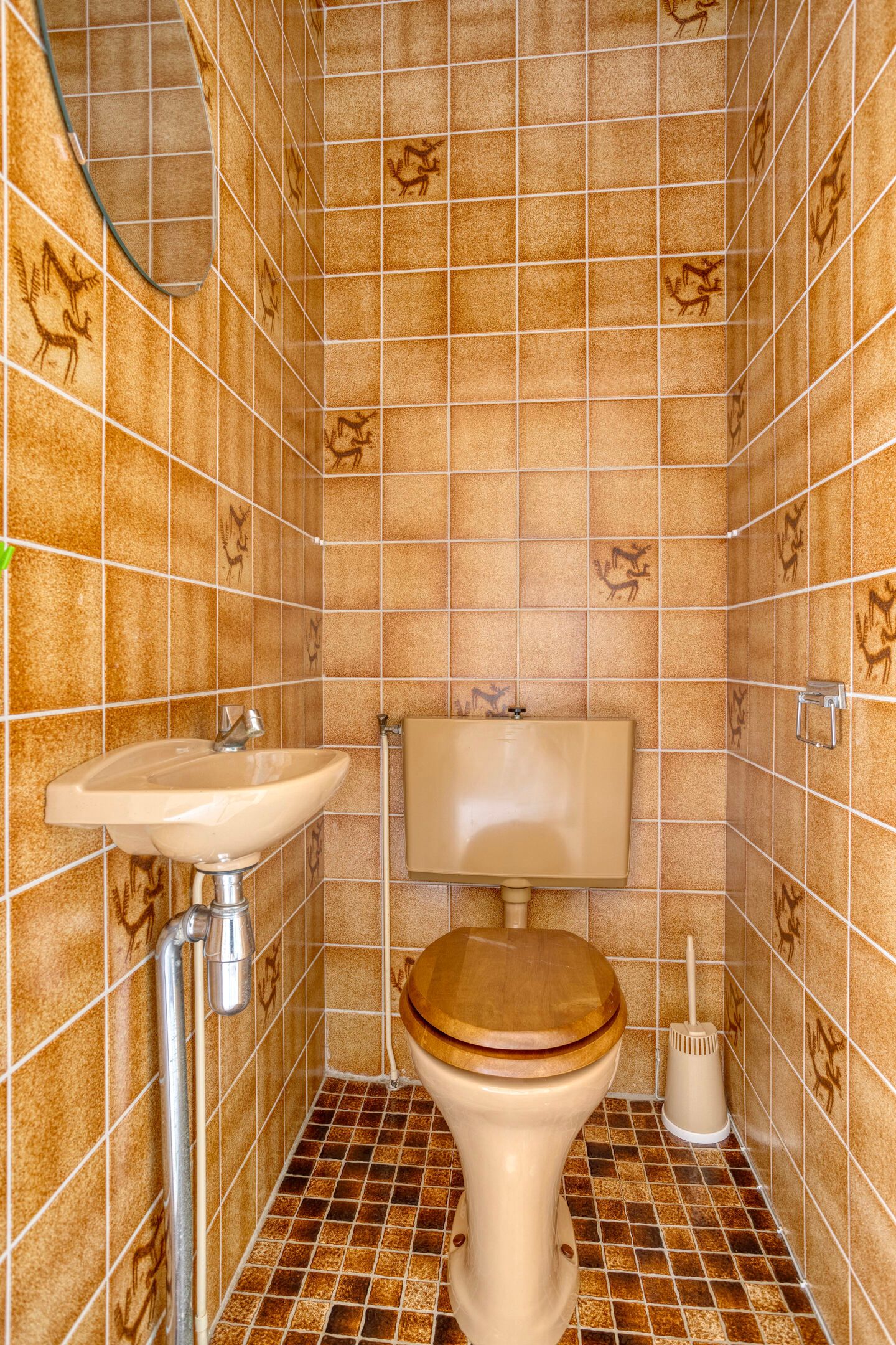 Foto 21 van Molefinne 51