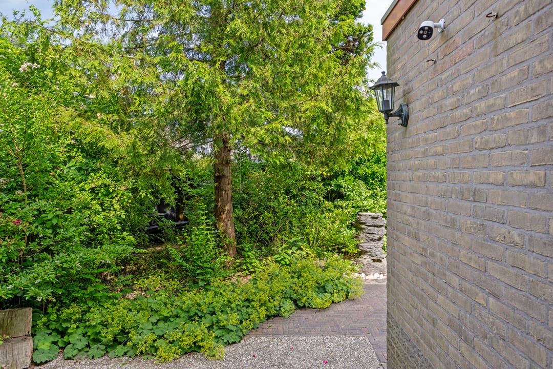 Foto 37 van Molefinne 51