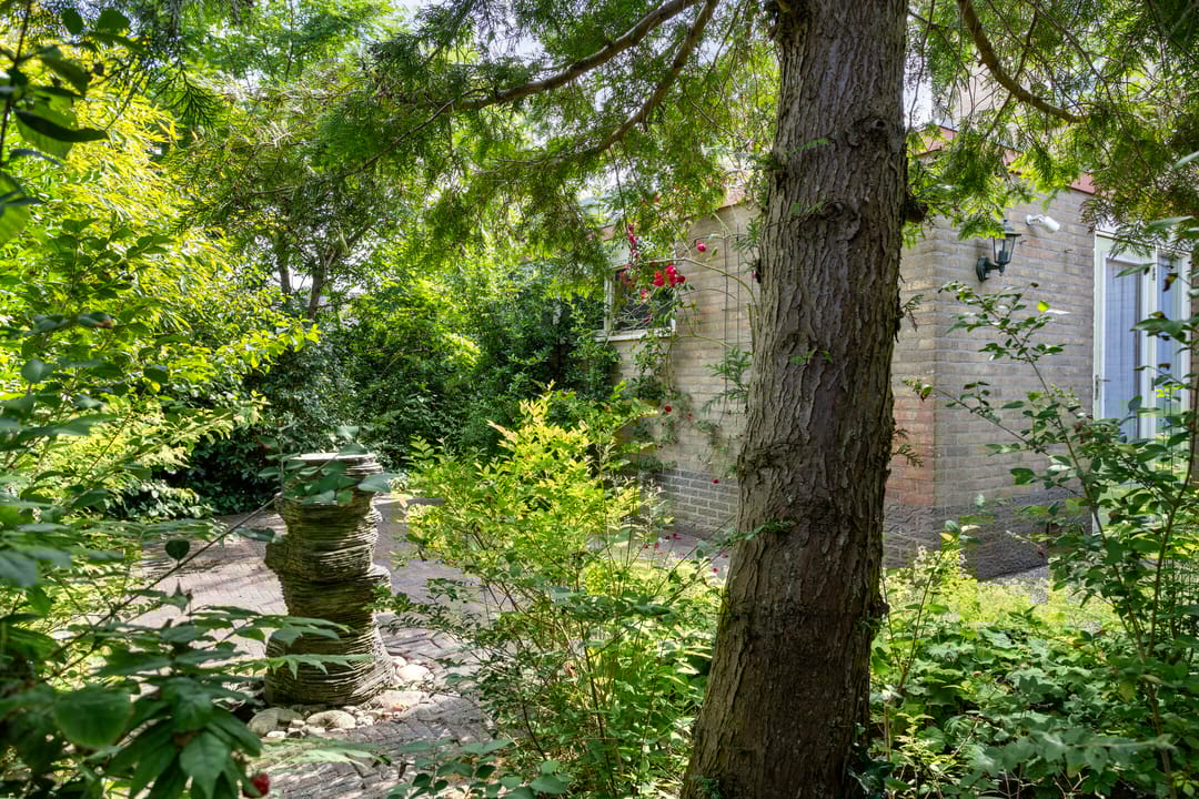 Foto 38 van Molefinne 51