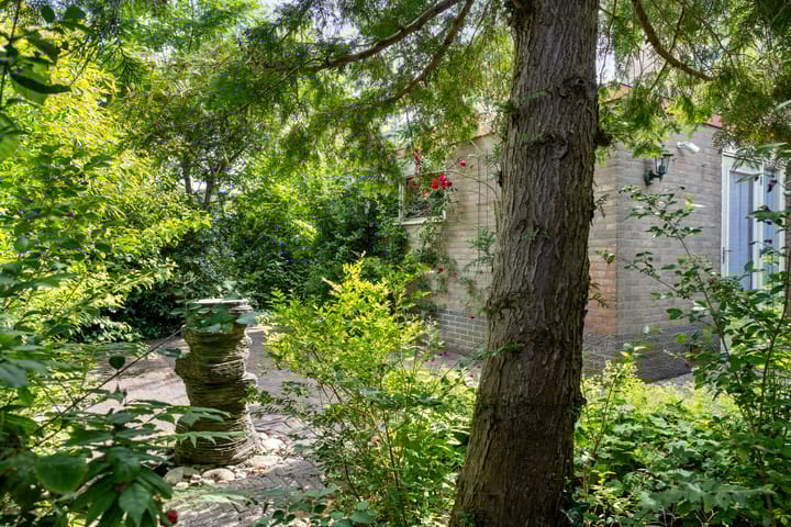 Foto 38 van Molefinne 51