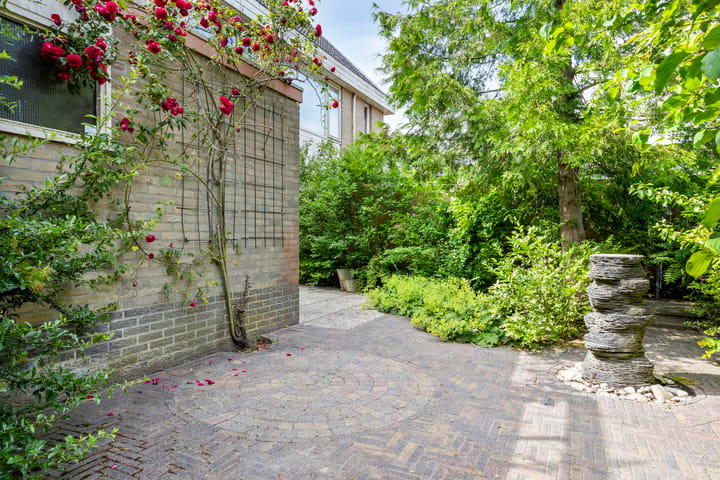 Foto 39 van Molefinne 51