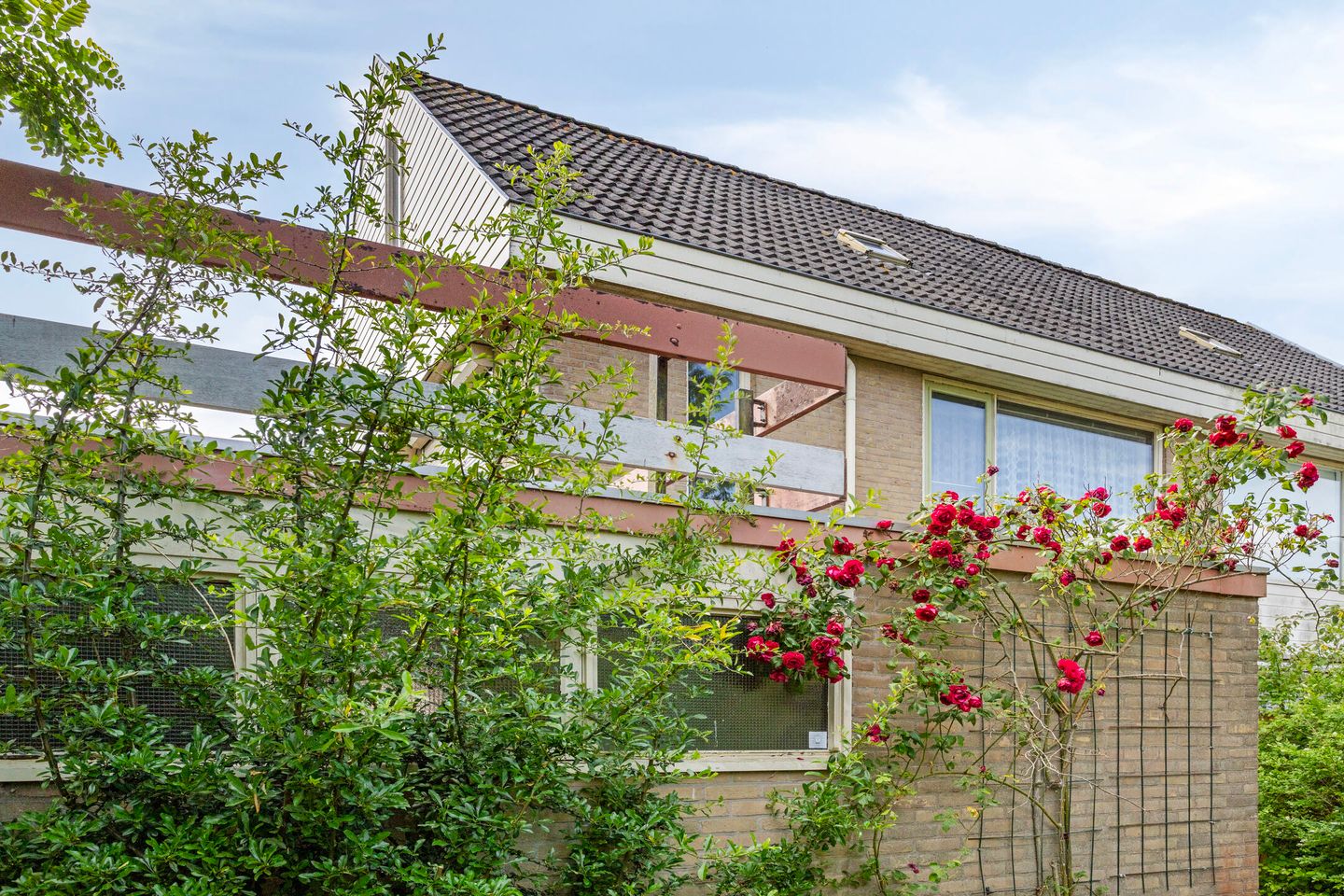 Foto 40 van Molefinne 51