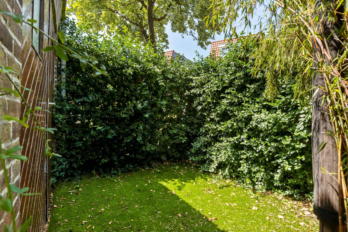 Foto 44 van Molijnstraat 36