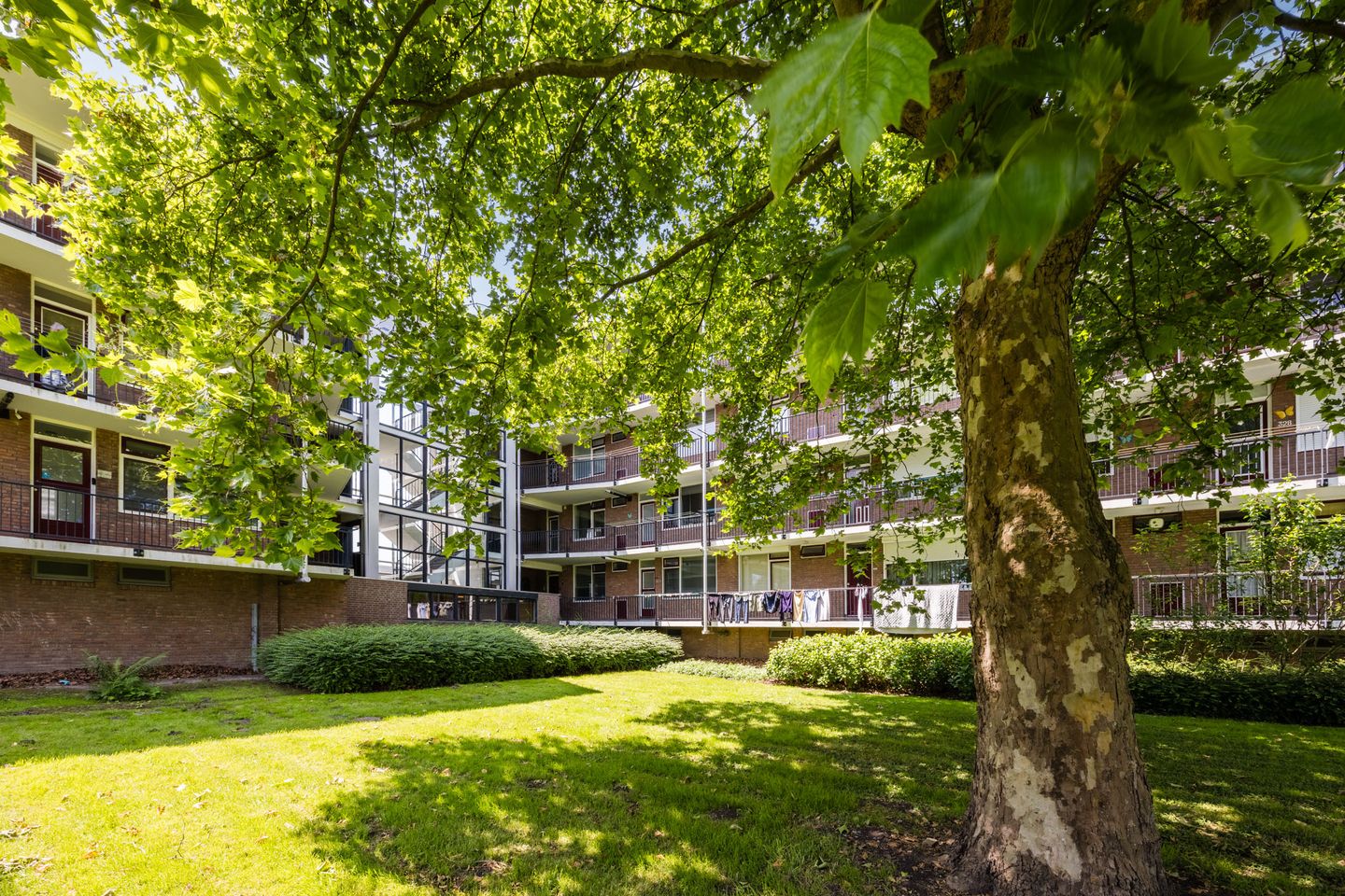 Foto 35 van van der Werffstraat 324