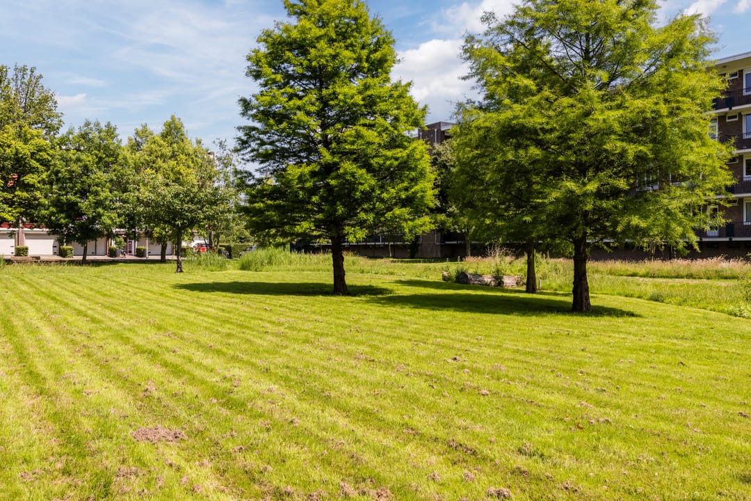 Foto 38 van van der Werffstraat 324