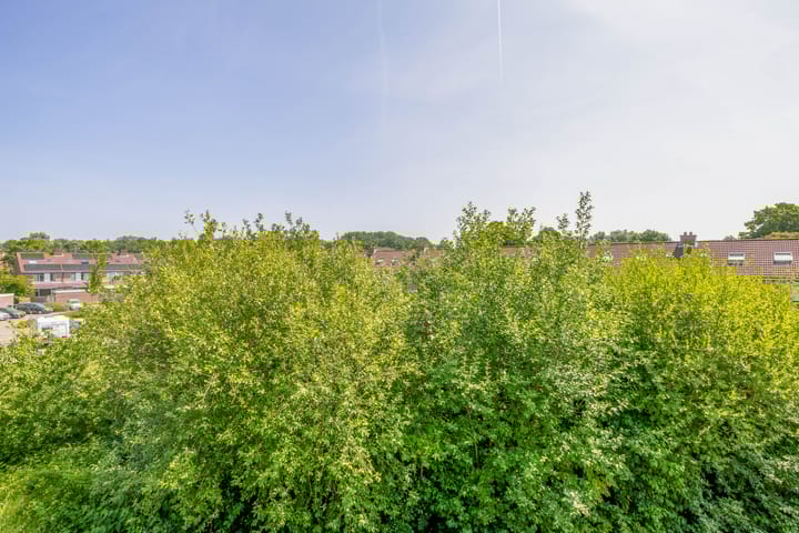 Foto 20 van Columbusrede 68