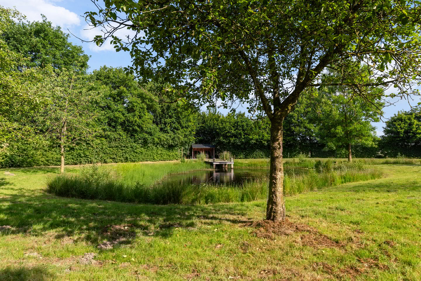 Foto 80 van Veluwsedijk 23