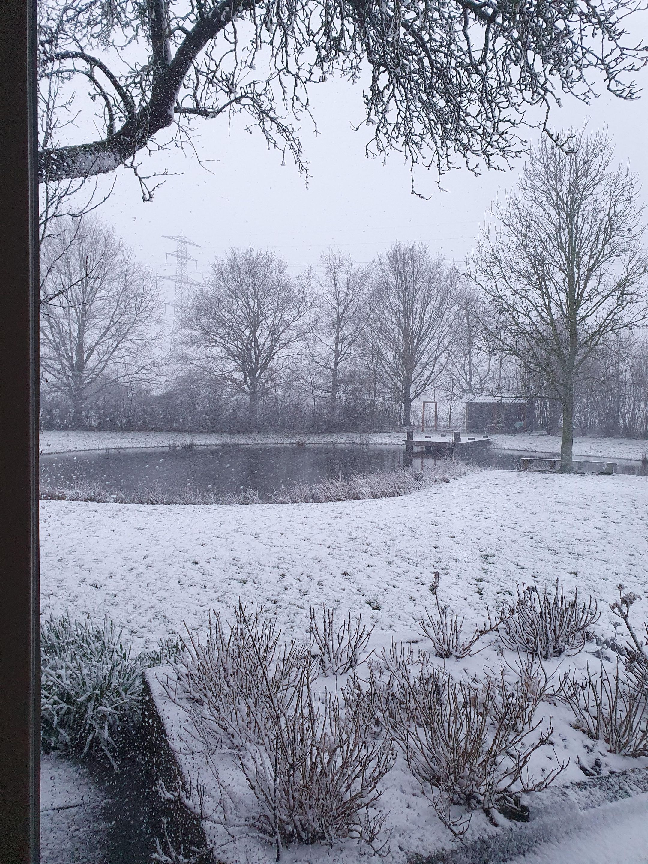 Foto 93 van Veluwsedijk 23