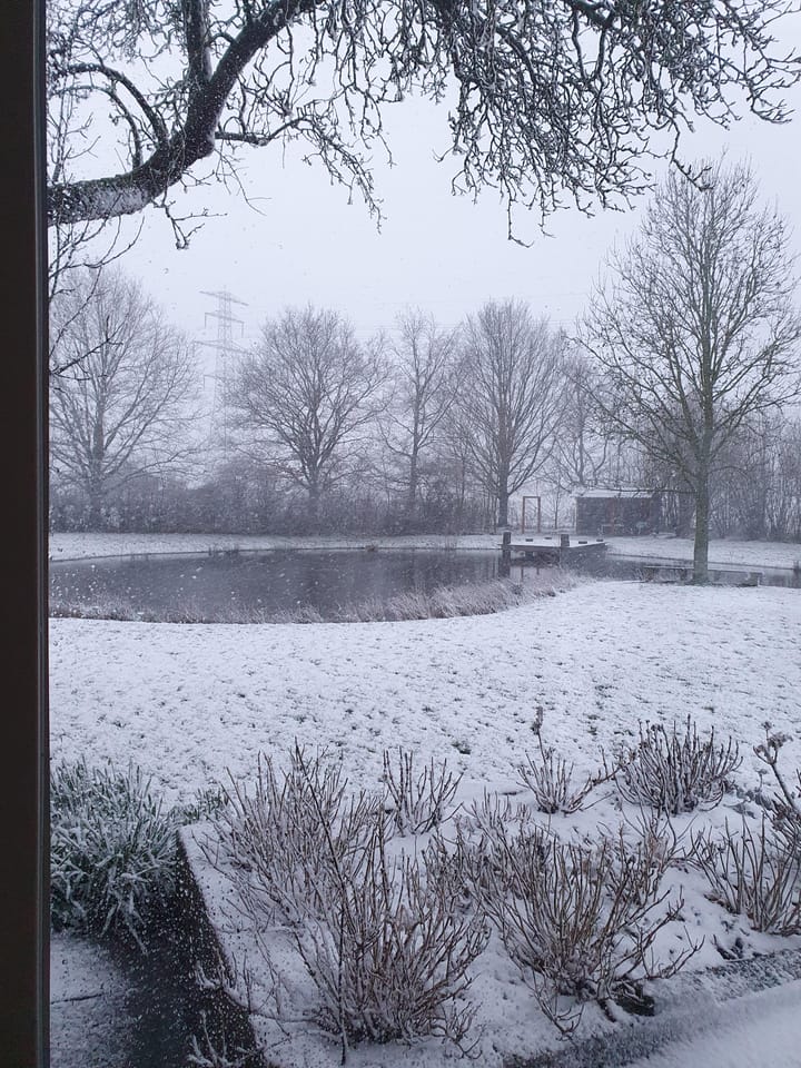 Foto 93 van Veluwsedijk 23