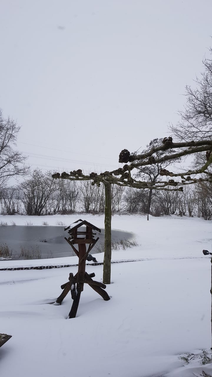 Foto 95 van Veluwsedijk 23