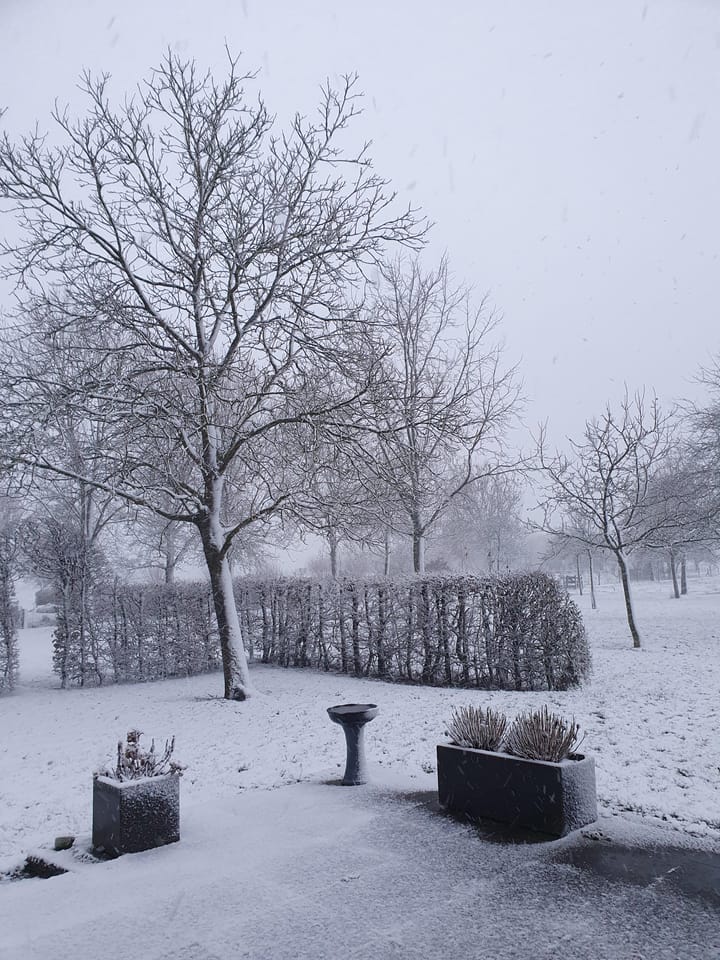 Foto 96 van Veluwsedijk 23