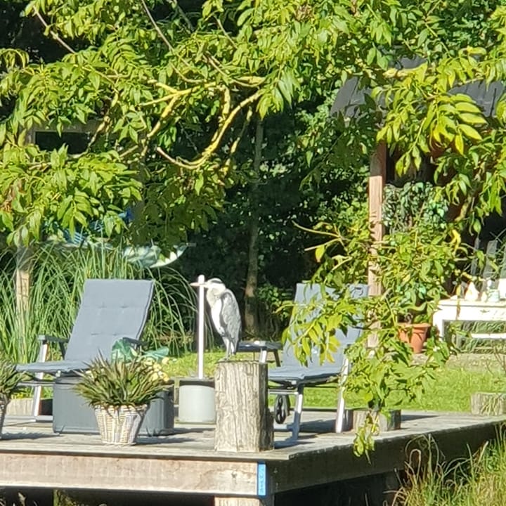 Foto 97 van Veluwsedijk 23