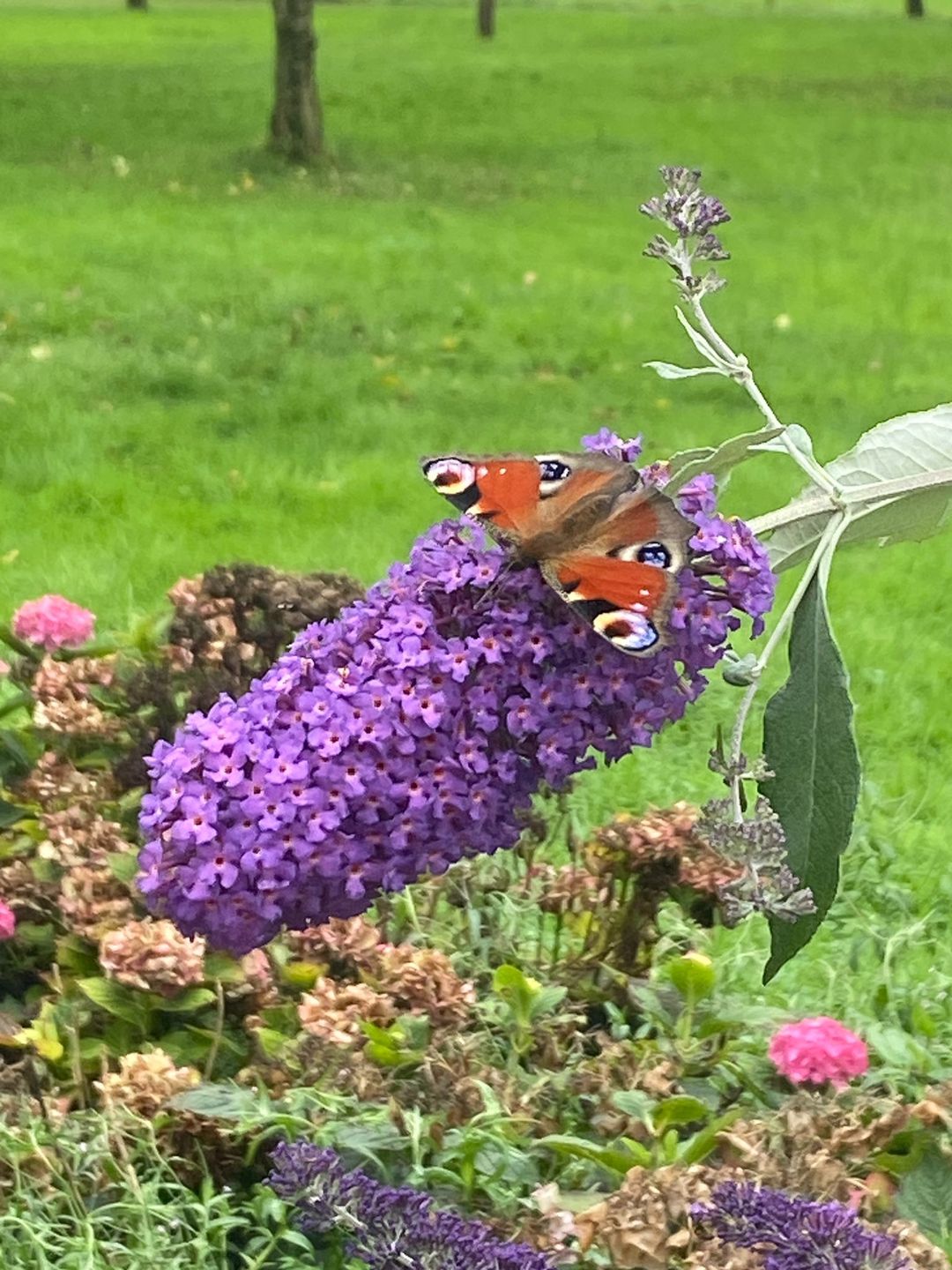 Foto 98 van Veluwsedijk 23