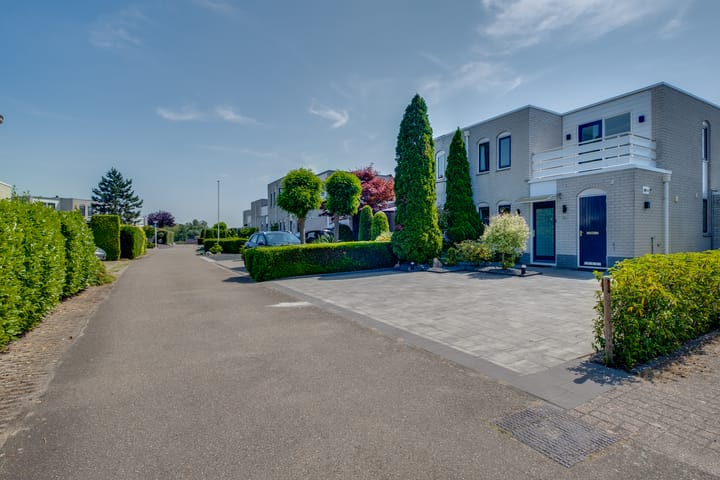 Photo 31 of Blauwe Reiger 42