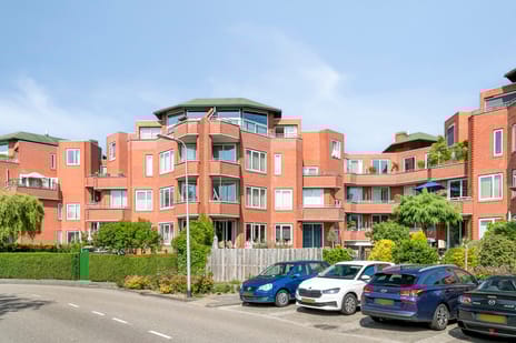 undefined main image